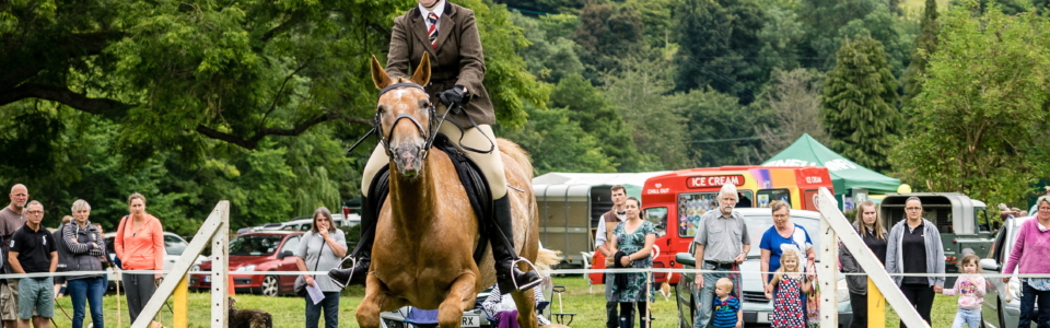 Horse Jump