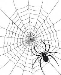 Contact the Webmaster